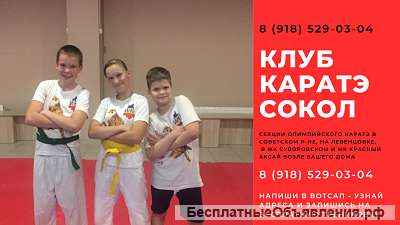 Каратэ для детей Ростов Левенцовка
