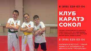 Каратэ для детей Ростов Левенцовка