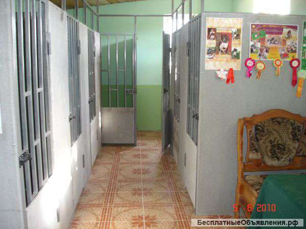 Гостиница для собак