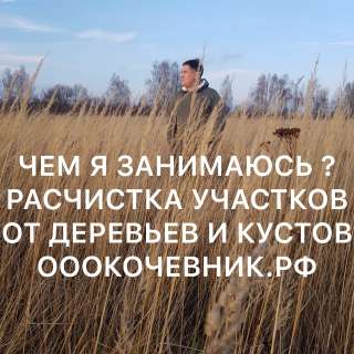 Услуги/Аренда Мульчера. Комплексная расчистка с/х полей. Валка леса. Мульчер бульдозер ООО «Кочевник