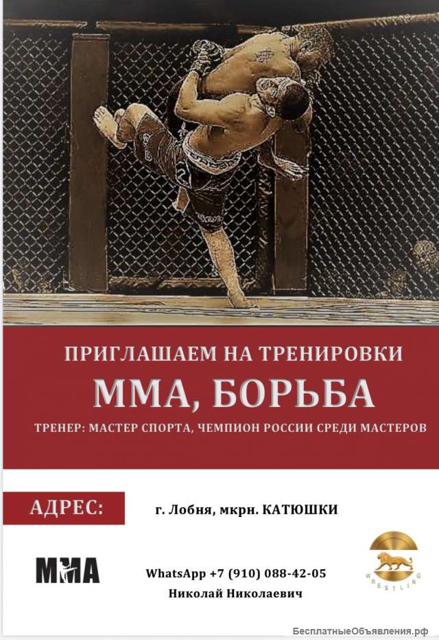 ТРЕНИРОВКИ ММА. Борьба