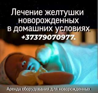 Лечения желтухи новорожденных Аренда лампы Philips (высокий Билирубин)