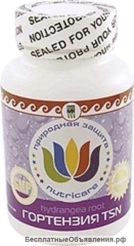 Гортензия TSN