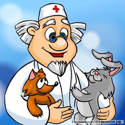 Скорая ветеринарная помощь