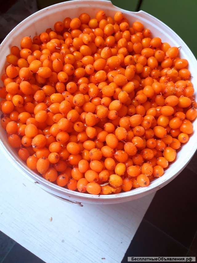 Облепиха замороженная