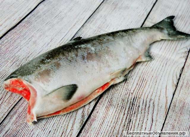 Камчатская рыба и красная икра оптом