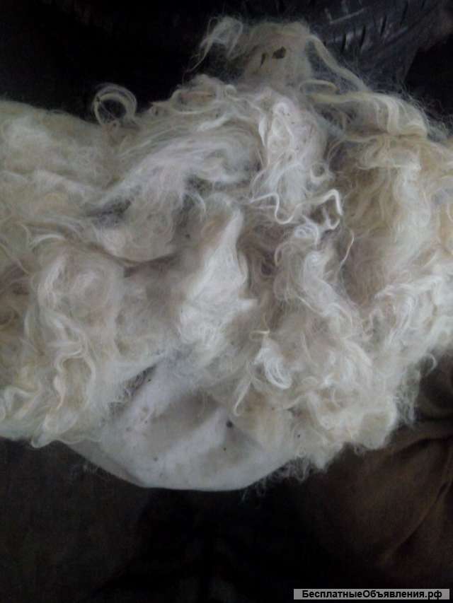 Не стиранную овечью шерсть 2 мешка и козий пух 1 мешок