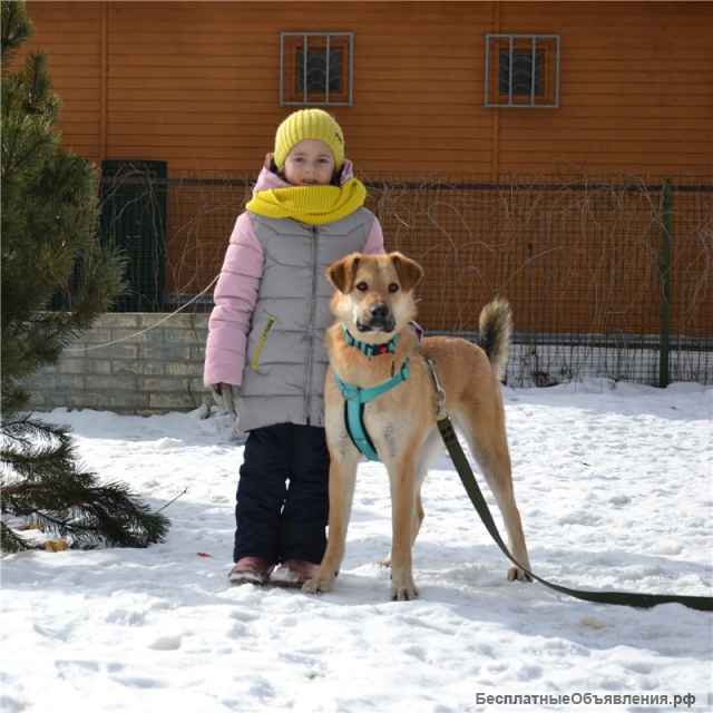 Барабулька ищет дом и любящую семью