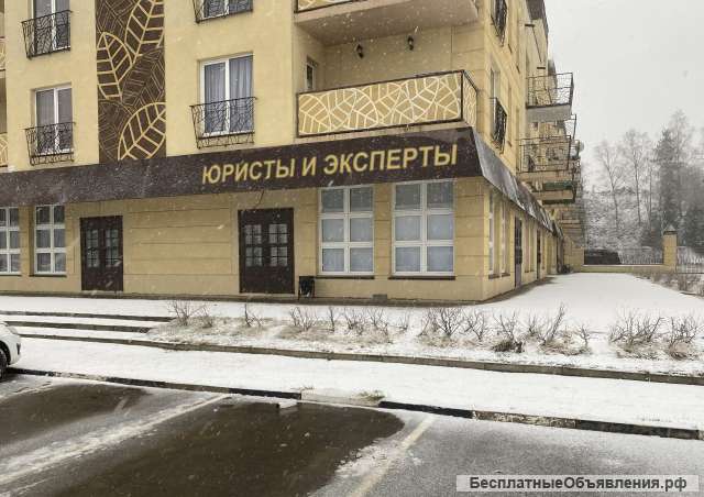 Проведение независимой экспертизы