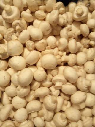 Шампиньоны