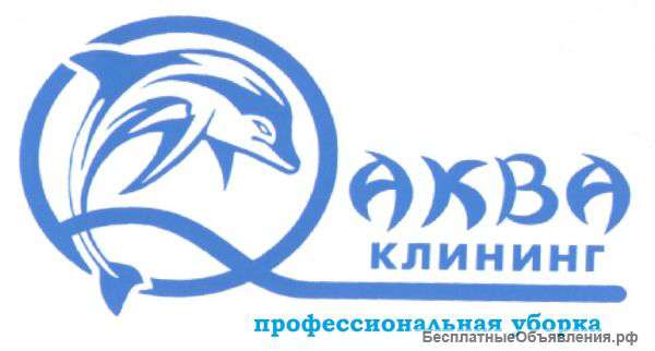 Химчистка ковров и коврового покрытия