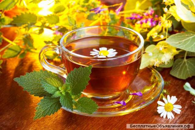 Иммунотон - Травяной сбор для ослабленного иммунитета