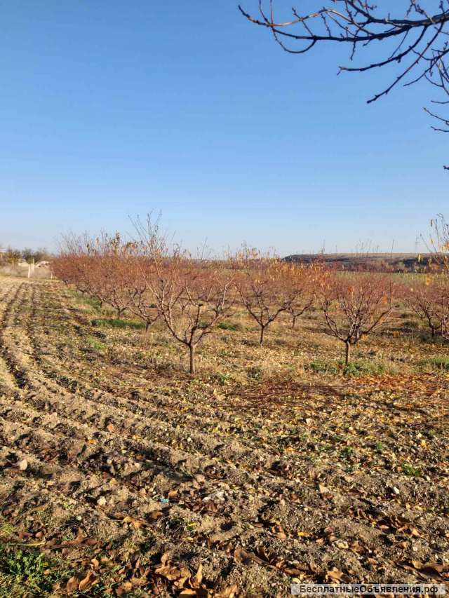 Участок в с.Вилино
