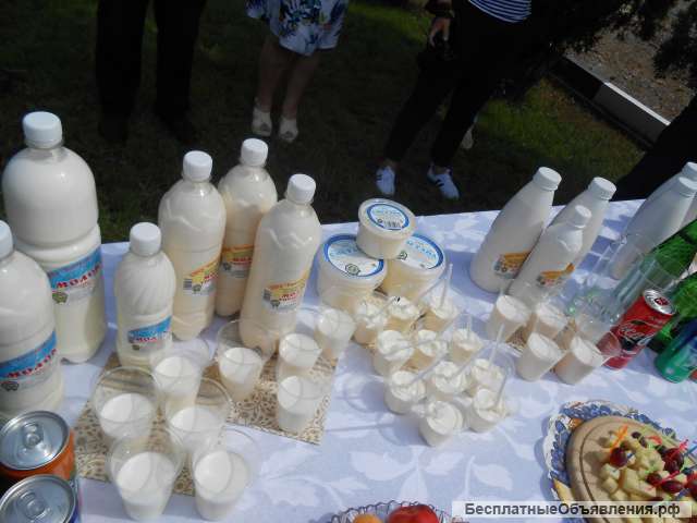 Мерчендайзер (молочная продукция) в Ленту