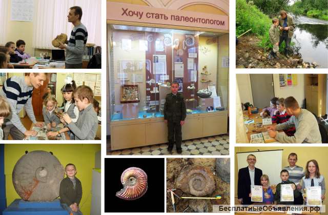 Дополнительное образование