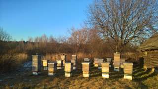 Мёд натуральный без добавок