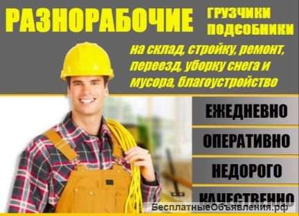 Разнорабочие