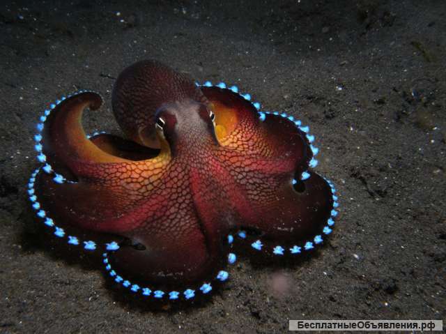 Ищем автомойщиков