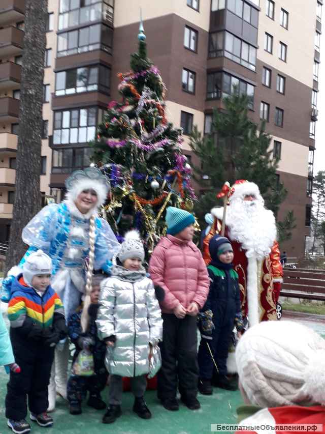 Дед Мороз и Снегурочка от 3500р