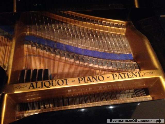 Рояль Bluthner Aliquot 275 см (Блютнер)