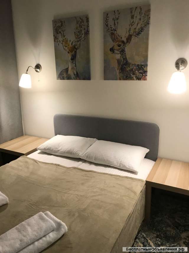 Отель" Олень"