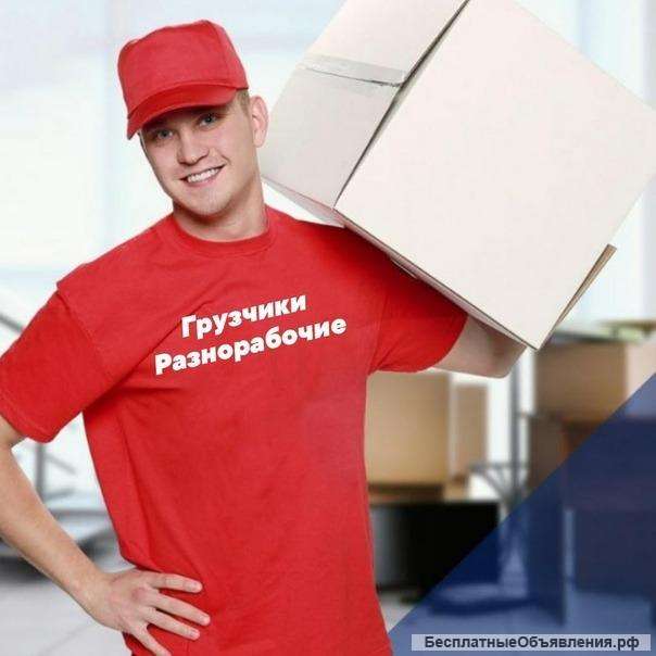 Грузчики и Разнорабочие 24/7