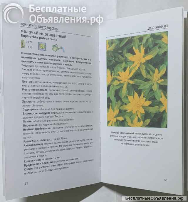 Атласы растений из серии «Комнатное цветоводство»
