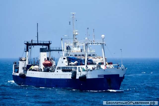 Врач Матрос Вакансии на рыболовном судне Механик