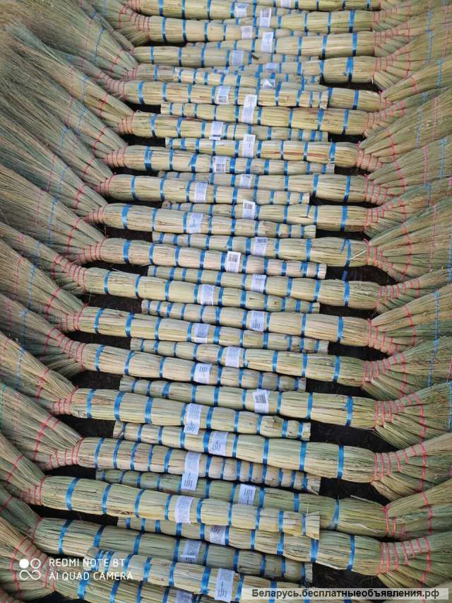 Веник сорго