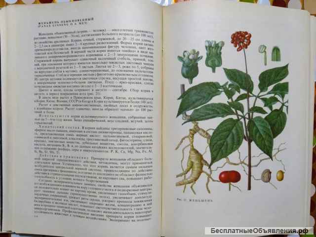Лечение растениями. Ковалева Н.Г. 1971 г.