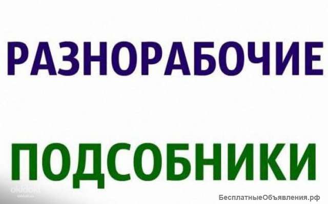 Разнорабочие, подсобные рабочие
