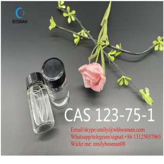CAS 123-75-1 Pyrrolidine RUSSIA hot item direct supply