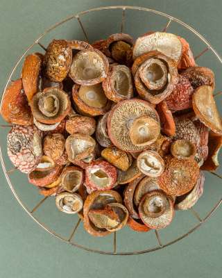 Сушеные грибы: мухомор красный, ежовик гребенчатый и других