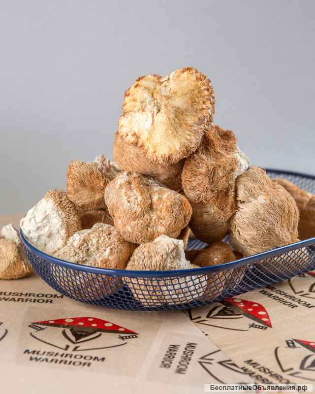 Сушеные грибы: мухомор красный, ежовик гребенчатый и других