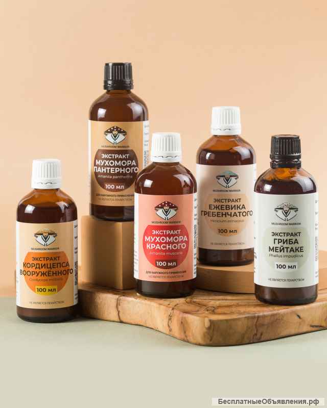 Сушеные грибы: мухомор красный, ежовик гребенчатый и других