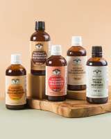 Сушеные грибы: мухомор красный, ежовик гребенчатый и других