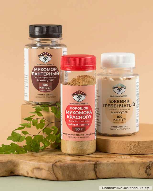 Сушеные грибы: мухомор красный, ежовик гребенчатый и других