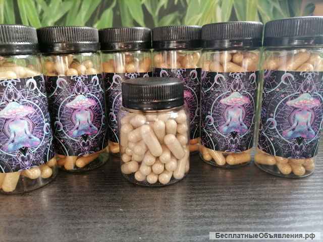 Капсулы пантерного и красного мухомора (Алтай)