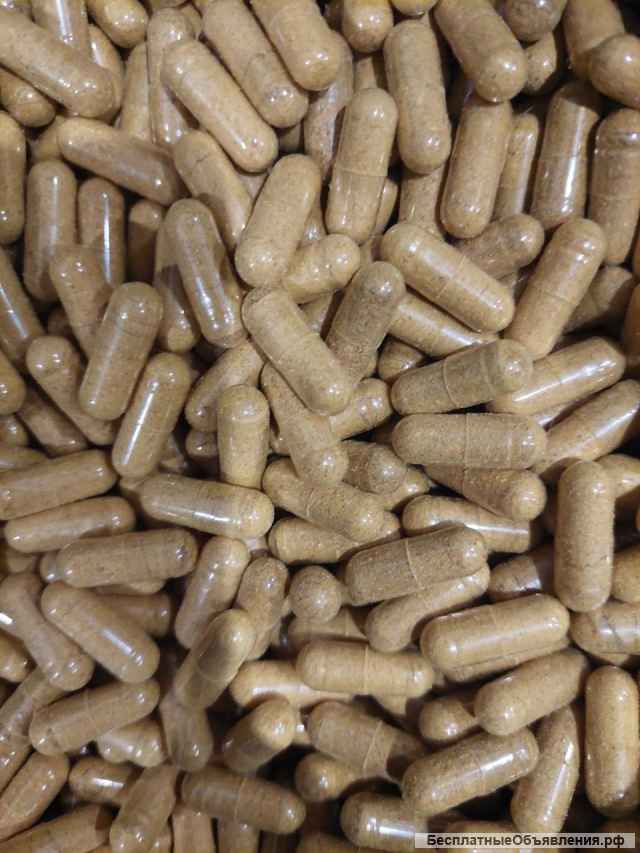 Капсулы пантерного и красного мухомора (Алтай)