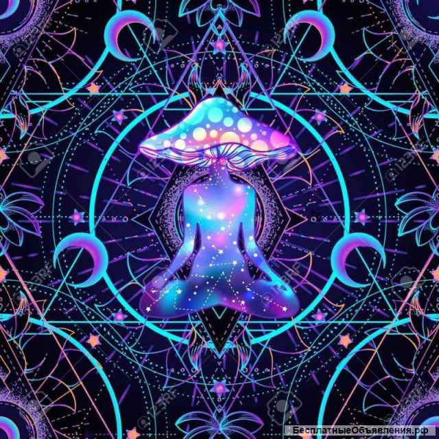 Капсулы пантерного и красного мухомора (Алтай)