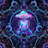 Капсулы пантерного и красного мухомора (Алтай)