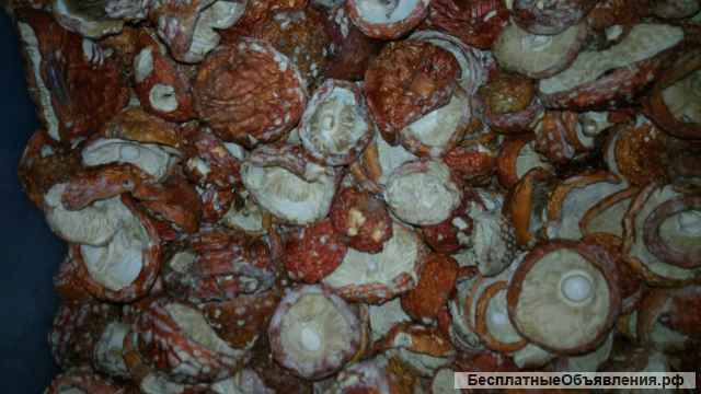 Мухомор сушёный (шляпки)