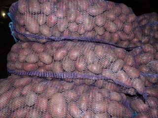 Картофель оптом от производителя