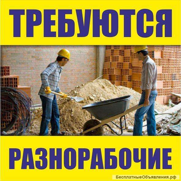 Требуется подсобный рабочий (м.Автово)