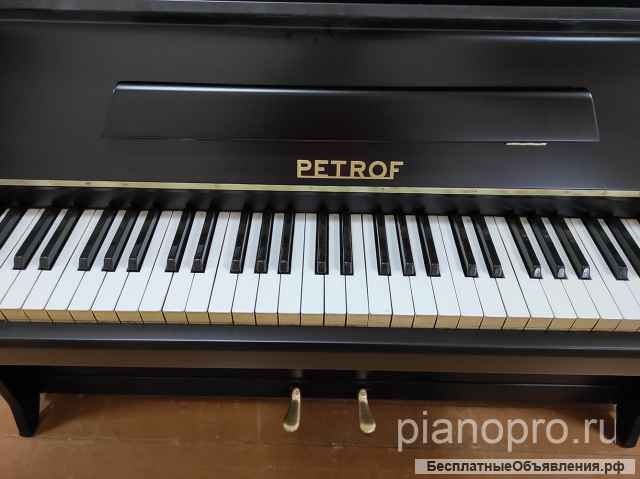 Рояли, пианино европейских и мировых производителей