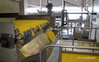 Линия консервации и сумблимации горошка и кукурузы (бобовых)