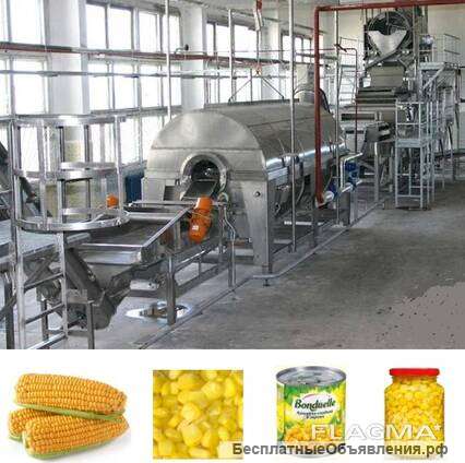 Линия консервации и сумблимации горошка и кукурузы (бобовых)