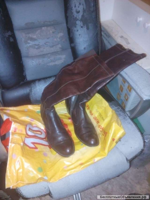 Сапоги