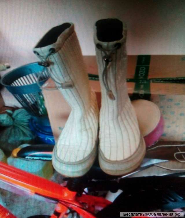 Сапоги женские Ecco