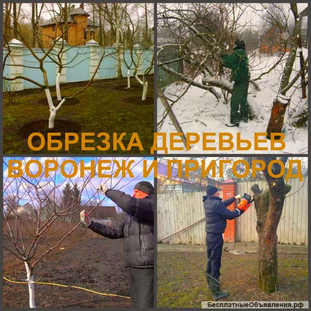 Обрезка плодовых деревьев Воронеж